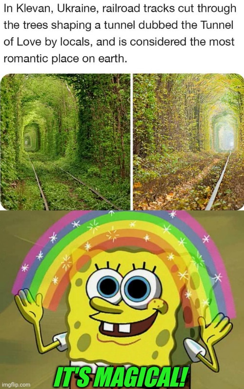 MAGICAL | IT'S MAGICAL! | image tagged in memes,imagination spongebob,trees,tunnel | made w/ Imgflip meme maker