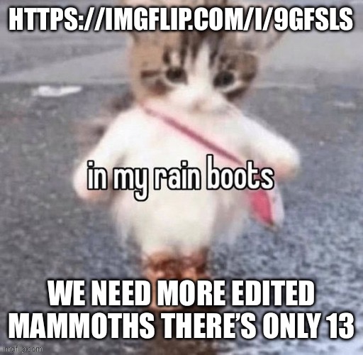 Rain boots | HTTPS://IMGFLIP.COM/I/9GFSLS; WE NEED MORE EDITED MAMMOTHS THERE’S ONLY 13 | image tagged in rain boots | made w/ Imgflip meme maker