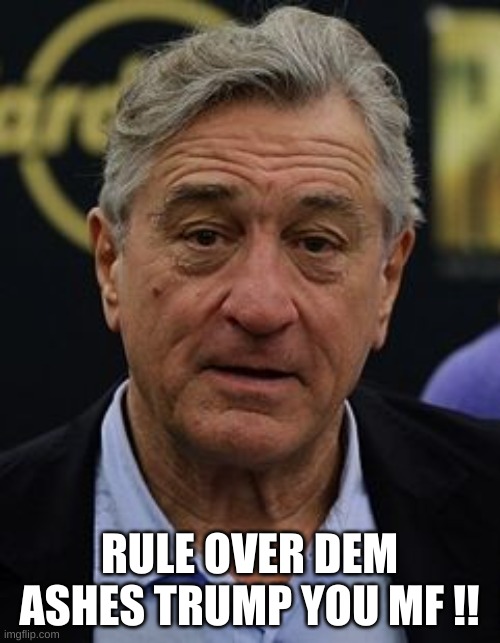 Robert DeNiro | RULE OVER DEM ASHES TRUMP YOU MF !! | image tagged in robert deniro | made w/ Imgflip meme maker