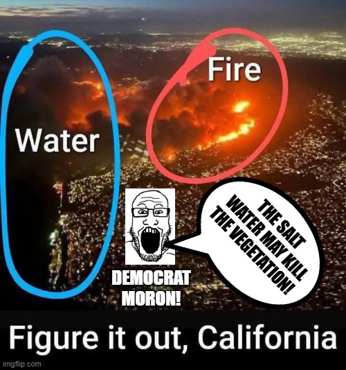 Democrat Moron! | THE SALT WATER MAY KILL THE VEGETATION! DEMOCRAT MORON! | image tagged in sam elliott special kind of stupid | made w/ Imgflip meme maker