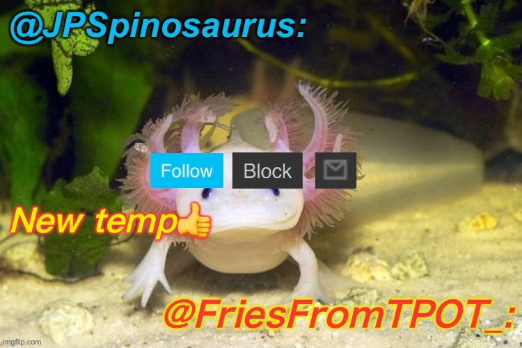 JPSpinosaurus and Fries shared temp | New temp👍 | image tagged in jpspinosaurus and fries shared temp | made w/ Imgflip meme maker