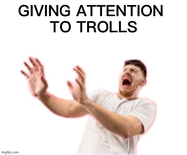he left all caps on(custom) | GIVING ATTENTION 
TO TROLLS | image tagged in he left all caps on custom | made w/ Imgflip meme maker