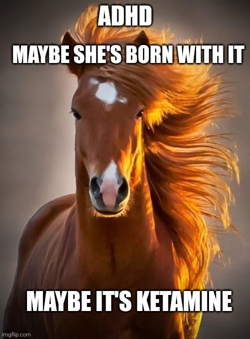 Born with it | image tagged in adhd,horses,meds,worth it | made w/ Imgflip meme maker