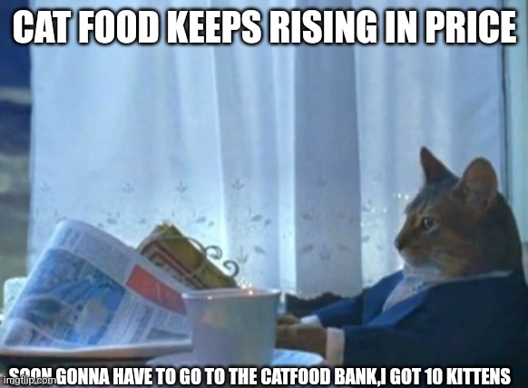 I Should Buy A Boat Cat | CAT FOOD KEEPS RISING IN PRICE; SOON GONNA HAVE TO GO TO THE CATFOOD BANK,I GOT 10 KITTENS | image tagged in memes,i should buy a boat cat | made w/ Imgflip meme maker