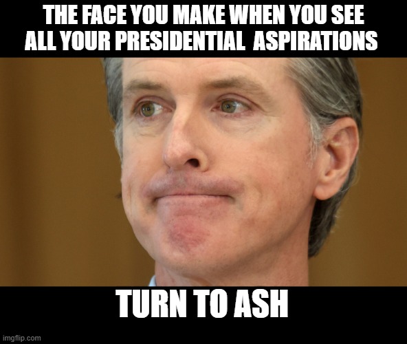 aww Poor libtard | THE FACE YOU MAKE WHEN YOU SEE ALL YOUR PRESIDENTIAL  ASPIRATIONS; TURN TO ASH | image tagged in funny memes,political humor,political meme,true story,donald trump approves | made w/ Imgflip meme maker