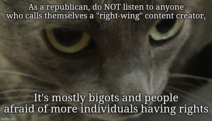 They generally do not support the ideals of a republican government | As a republican, do NOT listen to anyone who calls themselves a "right-wing" content creator, It's mostly bigots and people afraid of more individuals having rights | image tagged in sweetie | made w/ Imgflip meme maker