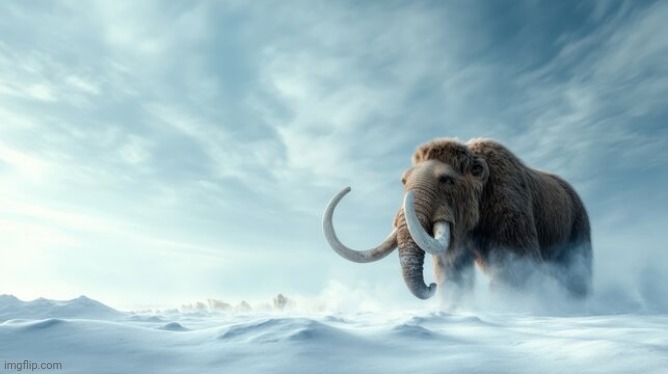 Mammoth | image tagged in mammoth | made w/ Imgflip meme maker