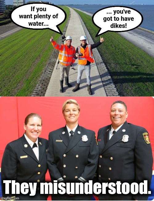 Those crazy Californians! | If you
want plenty of
water... ... you've
got to have
dikes! They misunderstood. | image tagged in memes,los angeles,fire department,wildfires,democrats,incompetence | made w/ Imgflip meme maker