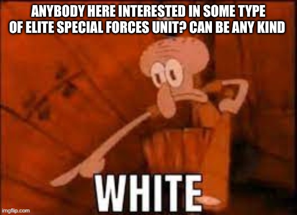 Squidward "WHITE" | ANYBODY HERE INTERESTED IN SOME TYPE OF ELITE SPECIAL FORCES UNIT? CAN BE ANY KIND | image tagged in squidward white | made w/ Imgflip meme maker