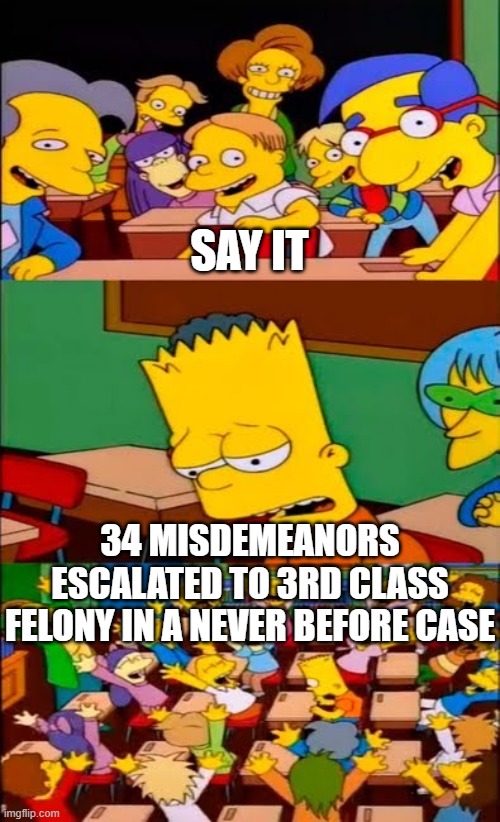 say the line bart! simpsons | SAY IT 34 MISDEMEANORS ESCALATED TO 3RD CLASS FELONY IN A NEVER BEFORE CASE | image tagged in say the line bart simpsons | made w/ Imgflip meme maker