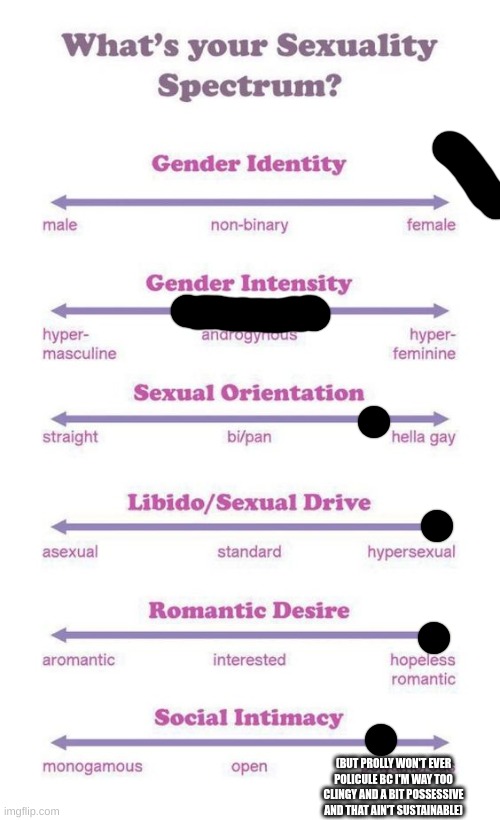 Giving my gf some info back. | (BUT PROLLY WON'T EVER POLICULE BC I'M WAY TOO CLINGY AND A BIT POSSESSIVE AND THAT AIN'T SUSTAINABLE) | image tagged in what's your sexuality spectrum | made w/ Imgflip meme maker