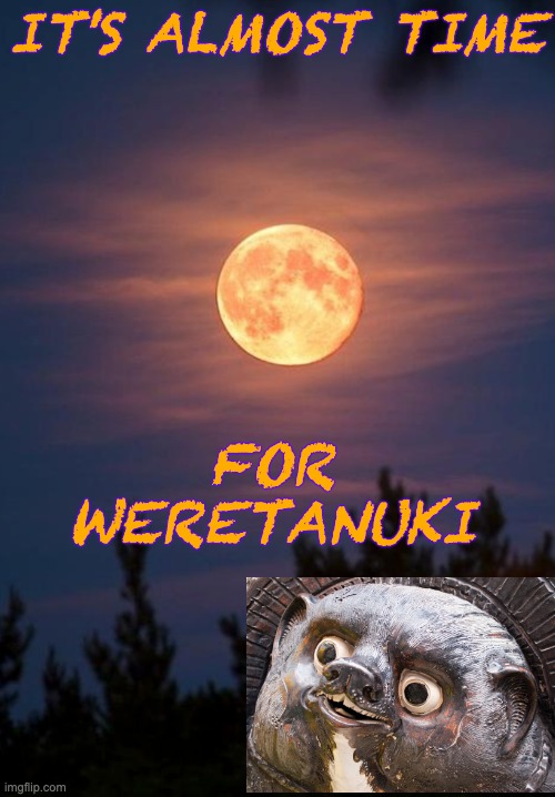 Let it out! | IT'S ALMOST TIME; FOR WERETANUKI | image tagged in full moon,tanuki,magic,transformation | made w/ Imgflip meme maker