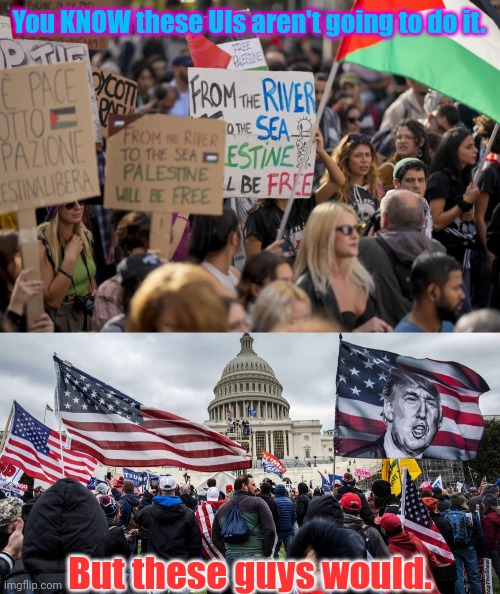 You KNOW these UIs aren't going to do it. But these guys would. | image tagged in democrats pro-palestinian anti-israel jpp,capitol hill riot | made w/ Imgflip meme maker