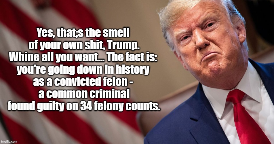 The Smell Of Trump's Shit | Yes, that;s the smell 
of your own shit, Trump.
Whine all you want... The fact is: 
you're going down in history 
as a convicted felon - 
a common criminal found guilty on 34 felony counts. | image tagged in trump,shit,34 felonies,felon,common criminal | made w/ Imgflip meme maker