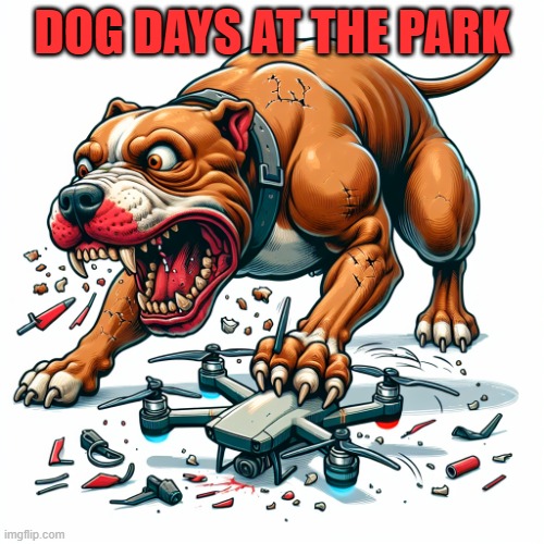 Dog DayZ | DOG DAYS AT THE PARK | image tagged in rednose pitbull chewing up a drone | made w/ Imgflip meme maker