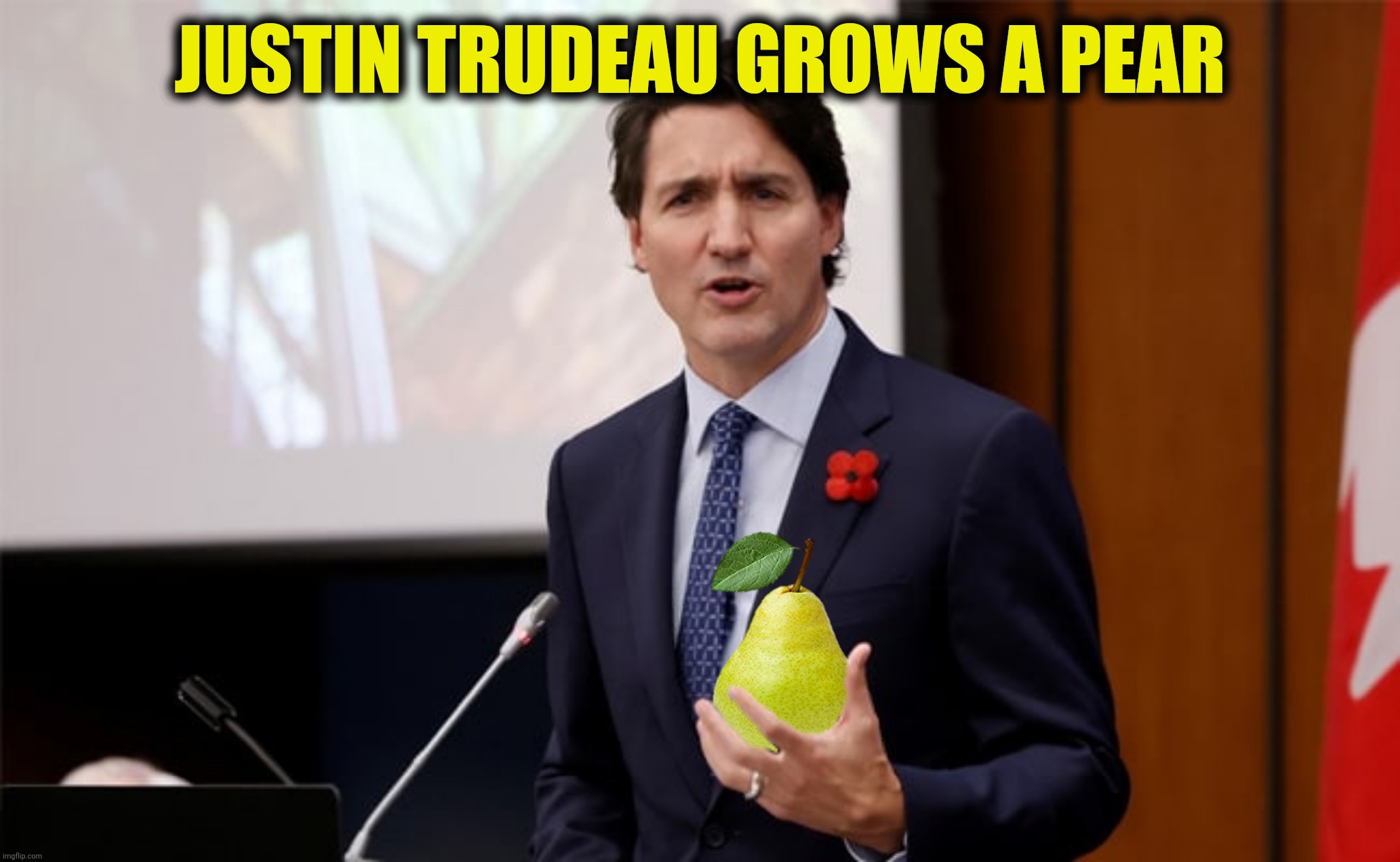 JUSTIN TRUDEAU GROWS A PEAR | made w/ Imgflip meme maker