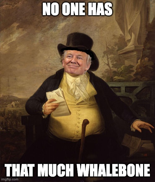 NO ONE HAS THAT MUCH WHALEBONE | made w/ Imgflip meme maker