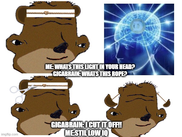 Low IQ | ME: WHATS THIS LIGHT IN YOUR HEAD?
GIGABRAIN: WHATS THIS ROPE? GIGABRAIN: I CUT IT OFF!!
ME:STIL LOW IQ | image tagged in steady tedies,tedism | made w/ Imgflip meme maker