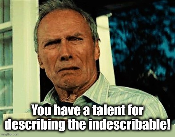 Clint Eastwood disgusted | You have a talent for
describing the indescribable! | image tagged in clint eastwood disgusted | made w/ Imgflip meme maker