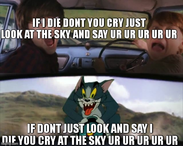 Harry Potter Tom cat meme | IF I DIE DONT YOU CRY JUST LOOK AT THE SKY AND SAY UR UR UR UR UR IF DONT JUST LOOK AND SAY I DIE YOU CRY AT THE SKY UR UR UR UR UR | image tagged in harry potter tom cat meme | made w/ Imgflip meme maker