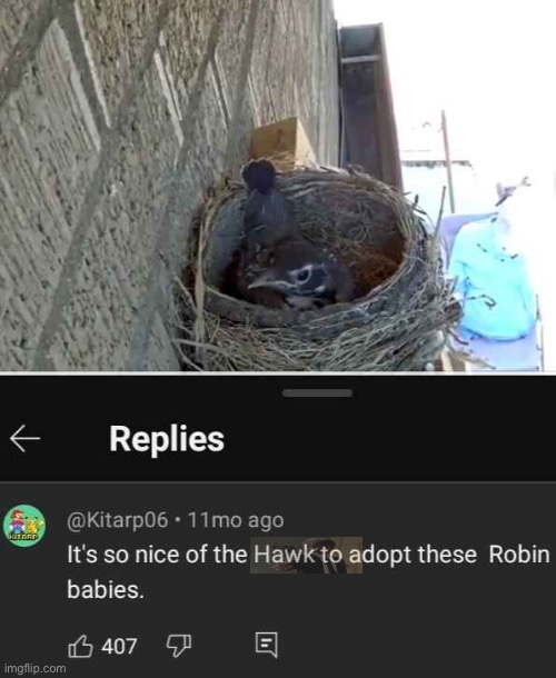 pluh | made w/ Imgflip meme maker