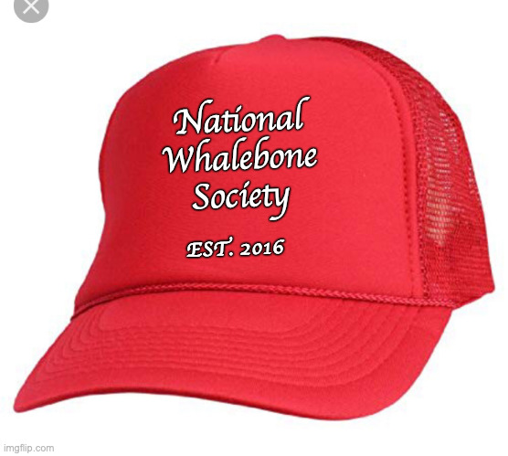 Blank maga hat | National
Whalebone
Society EST. 2016 | image tagged in blank maga hat | made w/ Imgflip meme maker