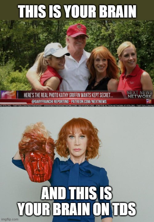 Any Questions? | THIS IS YOUR BRAIN; AND THIS IS YOUR BRAIN ON TDS | image tagged in kathy griffin tolerance | made w/ Imgflip meme maker