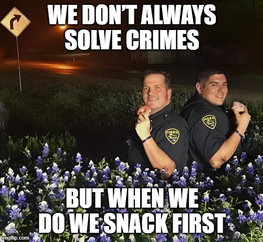 solving crimes | WE DON’T ALWAYS SOLVE CRIMES; BUT WHEN WE DO WE SNACK FIRST | image tagged in memes | made w/ Imgflip meme maker