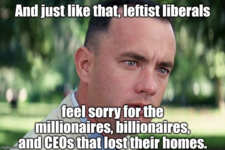 And Just Like That Meme | And just like that, leftist liberals feel sorry for the millionaires, billionaires, and CEOs that lost their homes. | image tagged in memes,and just like that | made w/ Imgflip meme maker