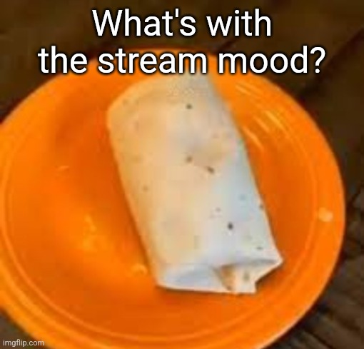 JimmyHere Burrito | What's with the stream mood? | image tagged in jimmyhere burrito | made w/ Imgflip meme maker