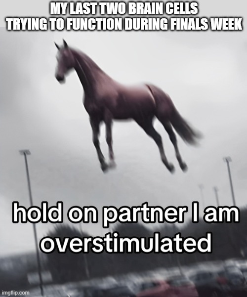 last two brain cells | MY LAST TWO BRAIN CELLS TRYING TO FUNCTION DURING FINALS WEEK | image tagged in memes | made w/ Imgflip meme maker