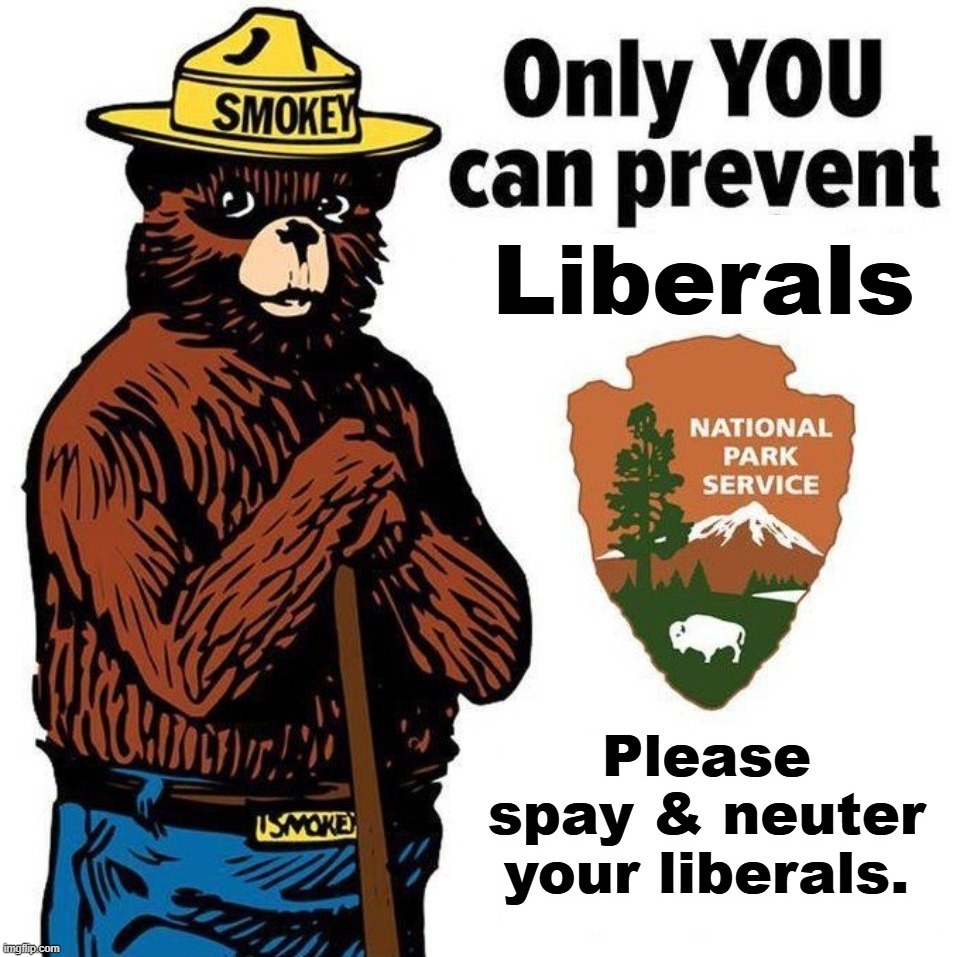 Only You Can Prevent Liberals | image tagged in smokey the bear,spay and neuter your liberals,castration station,stupid people be like,democrats,stupid liberals | made w/ Imgflip meme maker