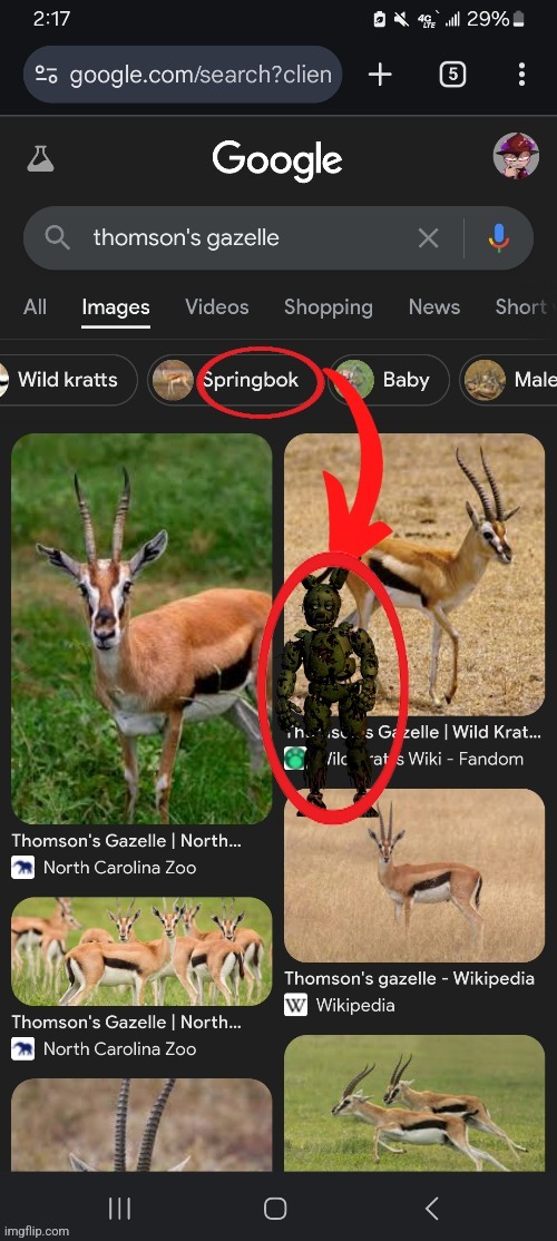 Springbok | made w/ Imgflip meme maker