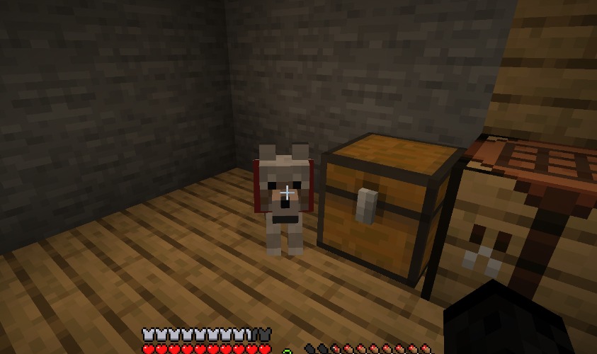 what do i name this dog (i have a nametag) | made w/ Imgflip meme maker