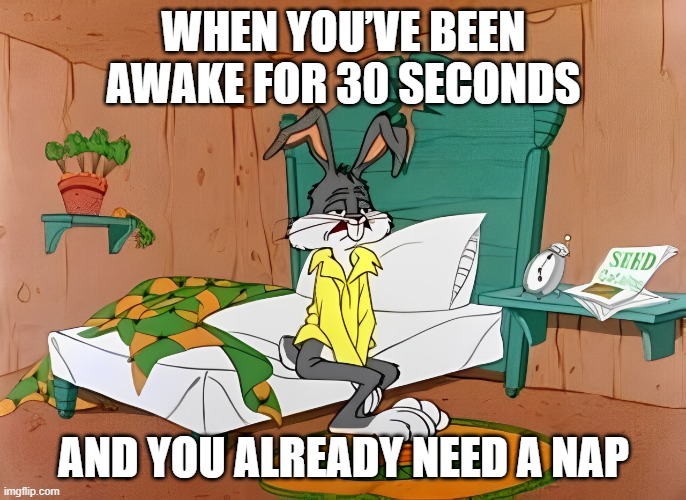 nap | WHEN YOU’VE BEEN AWAKE FOR 30 SECONDS; AND YOU ALREADY NEED A NAP | image tagged in memes | made w/ Imgflip meme maker
