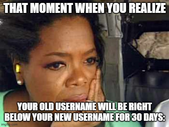 Oprah sad face | THAT MOMENT WHEN YOU REALIZE YOUR OLD USERNAME WILL BE RIGHT BELOW YOUR NEW USERNAME FOR 30 DAYS: | image tagged in oprah sad face | made w/ Imgflip meme maker