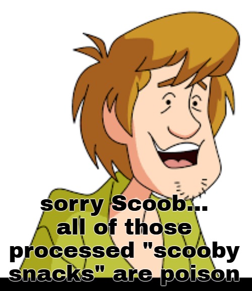 sorry Scoob...
all of those processed "scooby snacks" are poison | made w/ Imgflip meme maker