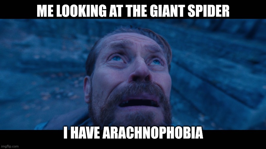willem dafoe looking up | ME LOOKING AT THE GIANT SPIDER; I HAVE ARACHNOPHOBIA | image tagged in willem dafoe looking up | made w/ Imgflip meme maker