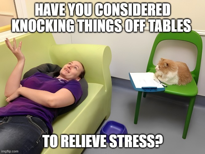 best advice ever | HAVE YOU CONSIDERED KNOCKING THINGS OFF TABLES; TO RELIEVE STRESS? | image tagged in memes | made w/ Imgflip meme maker