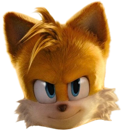 Tail Sonic movie Blank Meme Template