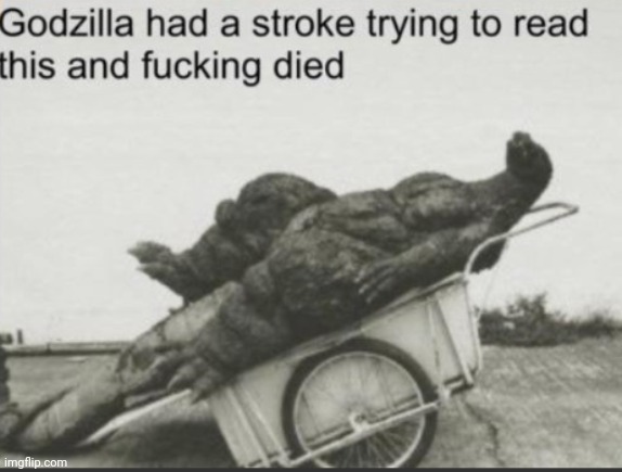 image tagged in godzilla had a stroke | made w/ Imgflip meme maker