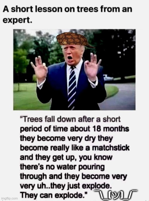 ¯\_(ツ)_/¯ | made w/ Imgflip meme maker