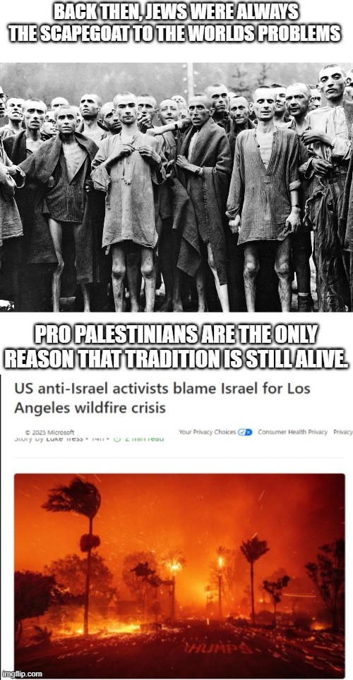 The California fires are a big highlight to that, so i had to use the same image. | BACK THEN, JEWS WERE ALWAYS THE SCAPEGOAT TO THE WORLDS PROBLEMS; PRO PALESTINIANS ARE THE ONLY REASON THAT TRADITION IS STILL ALIVE. | image tagged in israel,israel jews,jews,stupid people | made w/ Imgflip meme maker