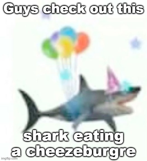 Guys check out this; shark eating a cheezeburgre | made w/ Imgflip meme maker