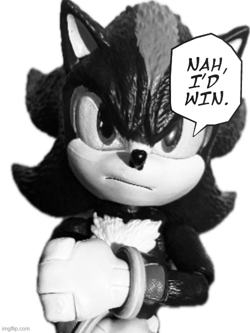 Nah I’d Win Shadow | image tagged in nah i d win shadow | made w/ Imgflip meme maker