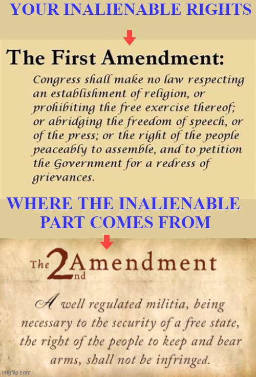 There's a certain type of person who cannot be intimidated. Why is that? | YOUR INALIENABLE RIGHTS; WHERE THE INALIENABLE 
PART COMES FROM | image tagged in the first amendment,2nd amendment | made w/ Imgflip meme maker