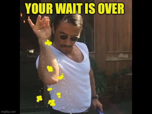 YOUR WAIT IS OVER | image tagged in salt guy | made w/ Imgflip meme maker