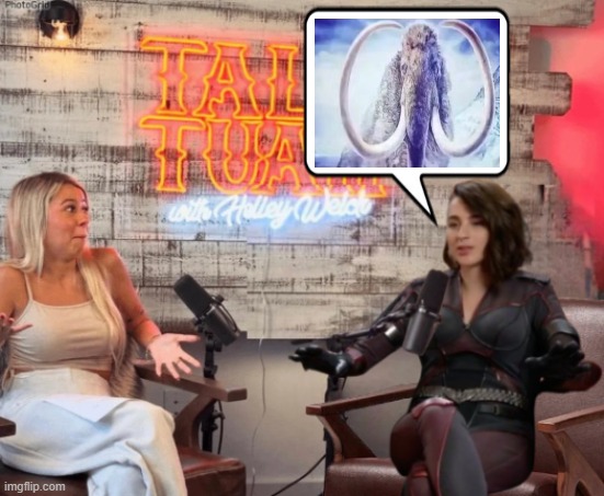 Talk Tuah guest, Stormfront | image tagged in talk tuah guest stormfront | made w/ Imgflip meme maker