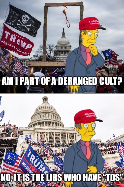 Out of Touch Skinner goes to the Insurrection | AM I PART OF A DERANGED CULT? NO, IT IS THE LIBS WHO HAVE “TDS” | image tagged in maga,chuds,tds,insurrection,morons | made w/ Imgflip meme maker