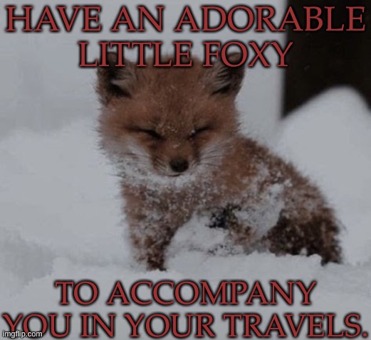 IT'S SO CUTE, I'M GONNA DIE!!! | HAVE AN ADORABLE LITTLE FOXY; TO ACCOMPANY YOU IN YOUR TRAVELS. | image tagged in adorable little foxy,travel companion,give him love,hes so freaking cute,kill me now,i want one | made w/ Imgflip meme maker